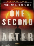 one_second_after_4daa280453301